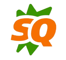 Search Engine Optimization Services in Hyderabad