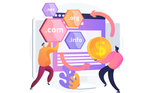 Domain Registration and Management
